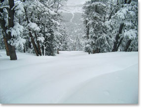 Red Lodge Mountain Resort