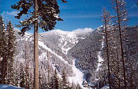 Montana Snowbowl Ski Area