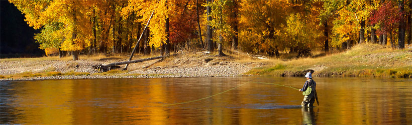 Flyfishing near Missoula